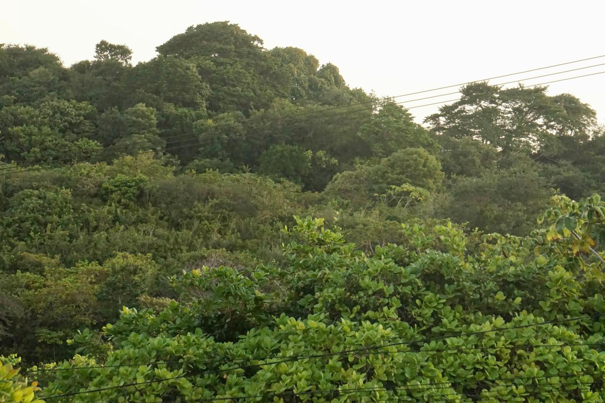 Praia de Pipa Chales Tucano Praia Da Pipa - Natureza, Conforto, Tranquilidade מראה חיצוני תמונה