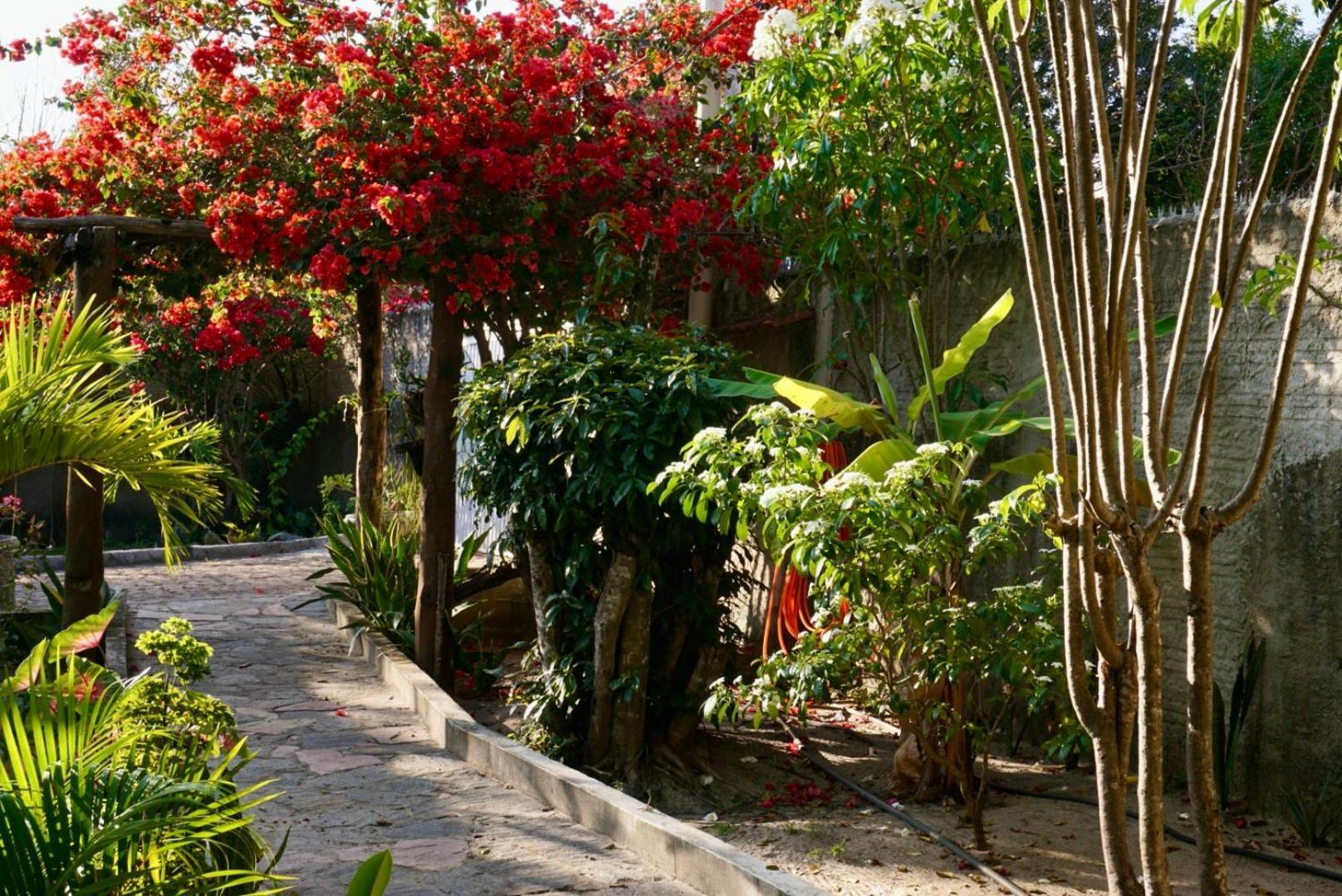 Praia de Pipa Chales Tucano Praia Da Pipa - Natureza, Conforto, Tranquilidade מראה חיצוני תמונה